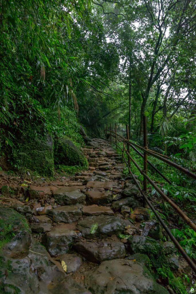 Trail To The Living Root Bridge