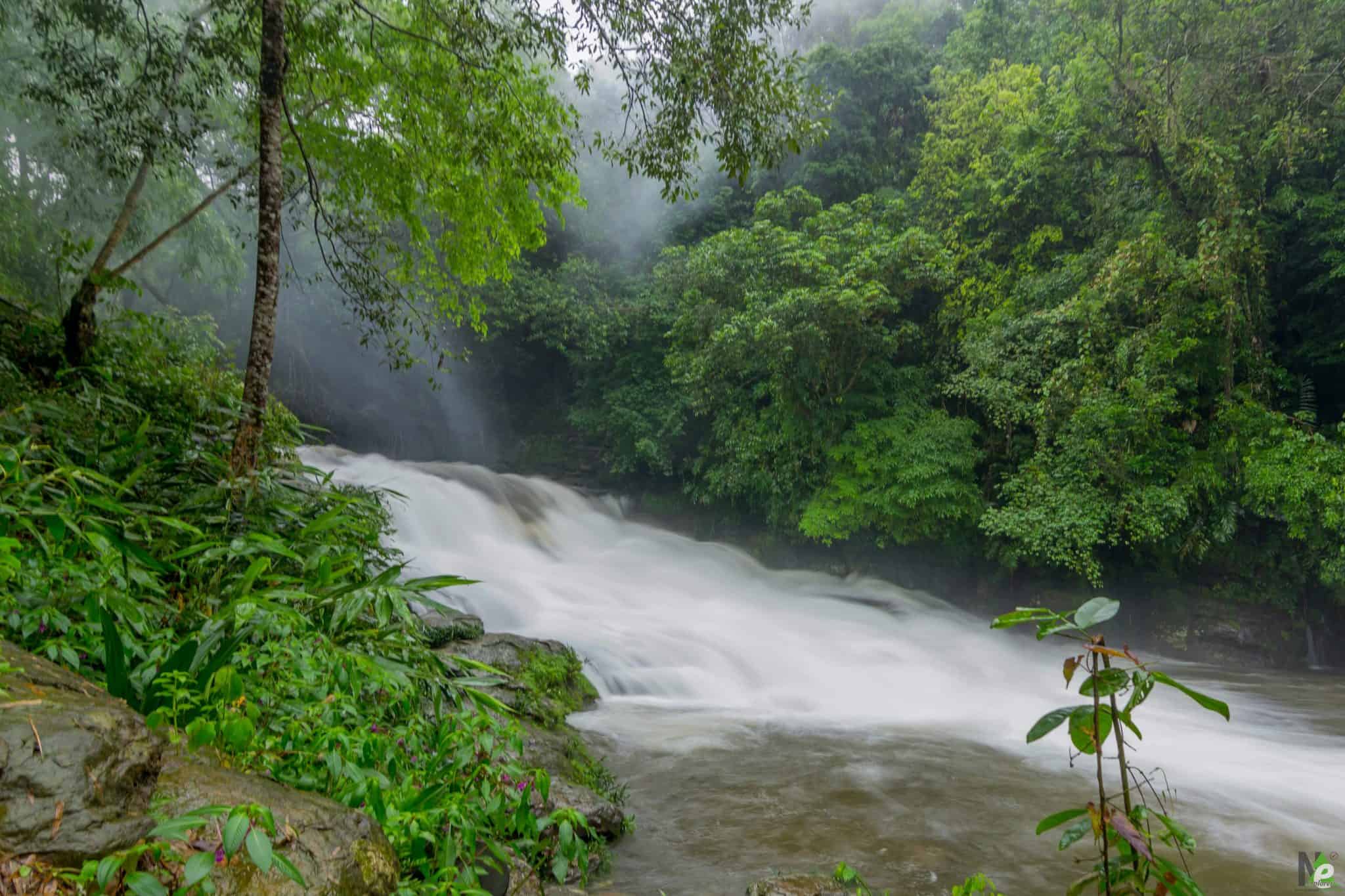 Water-stream at Mawlynnong Living Root-bridge