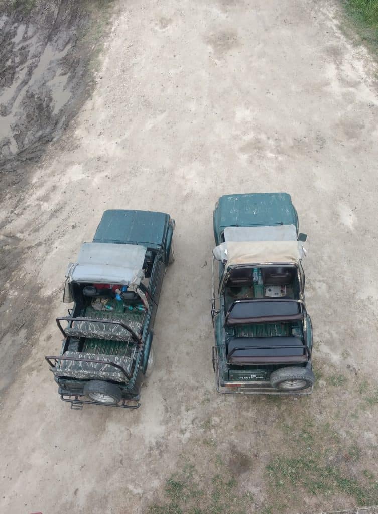 jeep junglee safari kaziranga national park