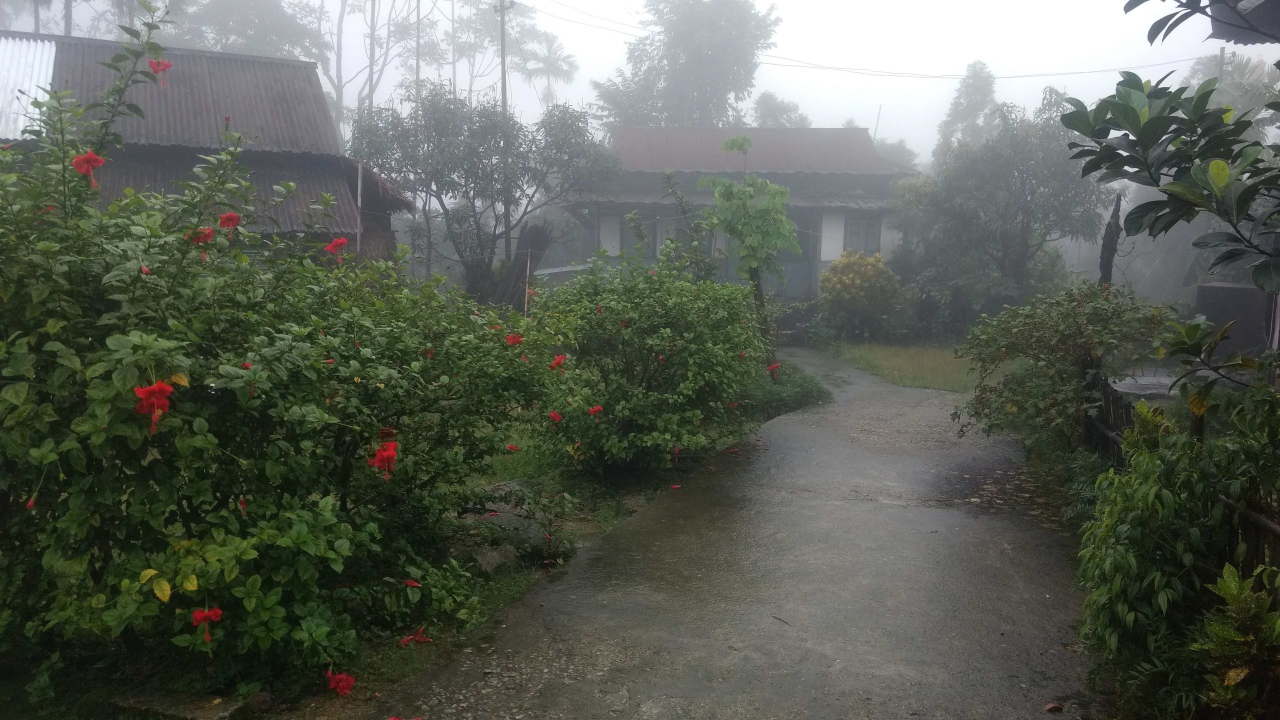 homes in mawlynnong village