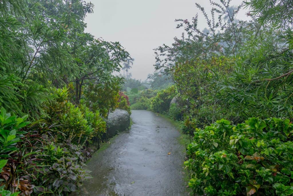 mawlynnong asia's cleanest village