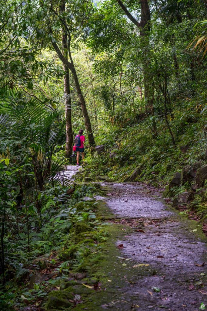 Double decker living root bridge trek