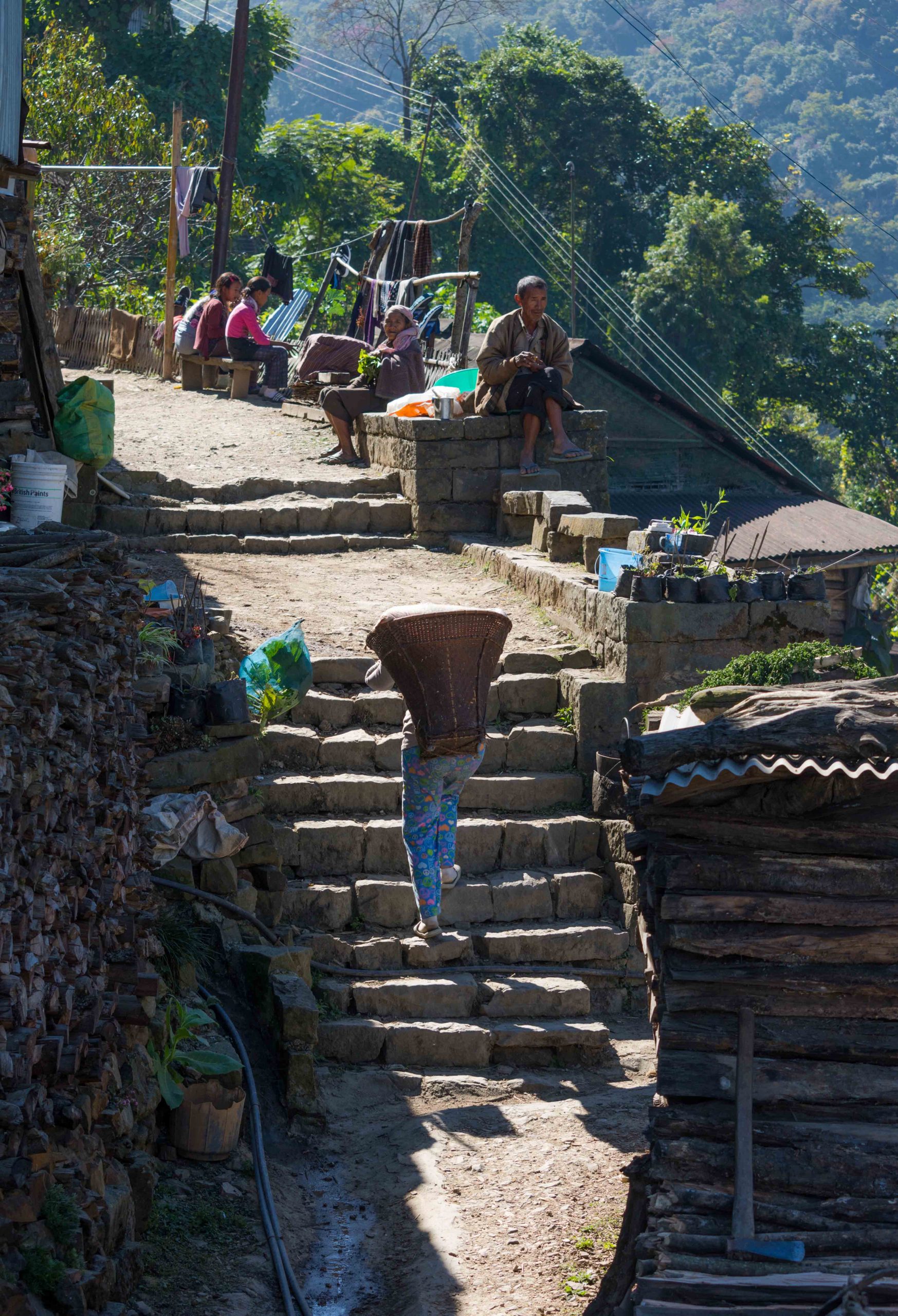 Random frame of Kohonma village
