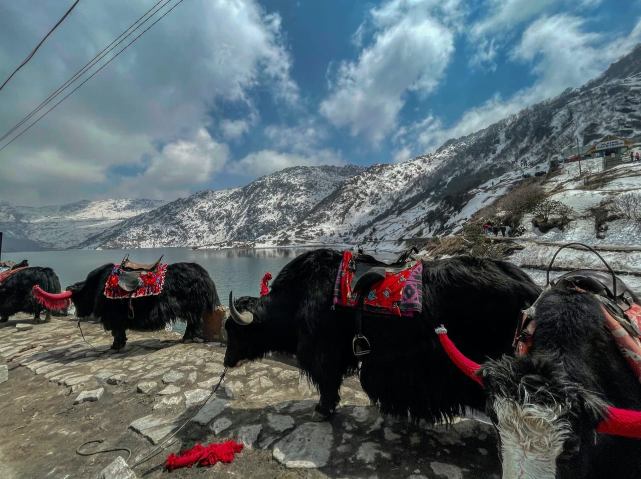 Tsomgo lake east Sikkim