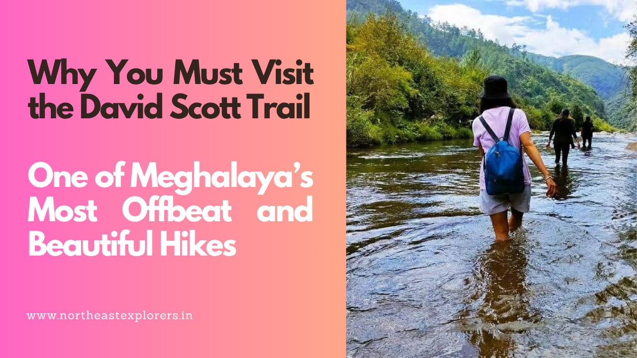 Why You Must Visit the David Scott Trail One of Meghalaya’s Most Offbeat and Beautiful Hikes