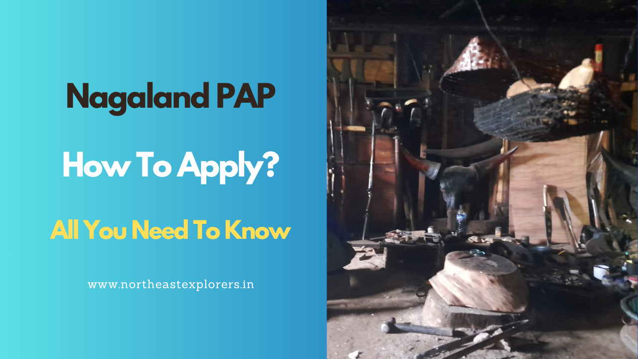 How to Apply Nagaland PAP