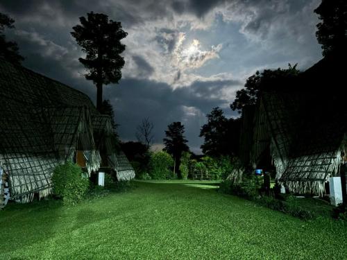 Jungle Camp at Namdhapa National Park